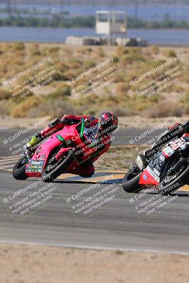 media/Oct-08-2023-CVMA (Sun) [[dbfe88ae3c]]/Race 2 Supersport Middleweight (Shootout)/